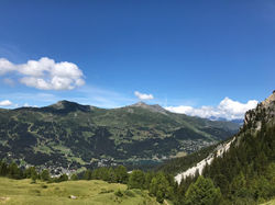 5c367c85-d84b-4a4c-837a-cce8973bcc8e