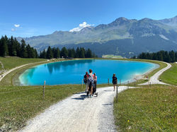 2e3f4443-c999-4641-8155-7e0b3beffc20