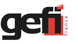 Focus sur notre participation : GEFI 
