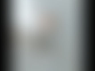 Funny cats 2020 #cats #funny #funnycats