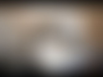 Trying to talk with your cat You must surprise – Funny cat videos 2020