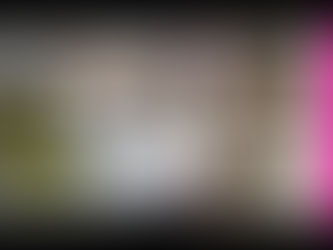 Cutest Overload Kittens ! 😻 Too Cute Too Funny Cats – Pets Story Video 2020