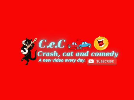 BEST CAT COMPILATION 2020 #6 ( 🐱 FUNNY CATS AND KITTENS 🐱 )