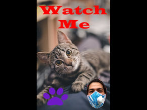 Funny cats 2020 May new