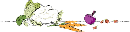 Spring vegetables