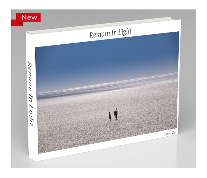 Remain In Light E-Book