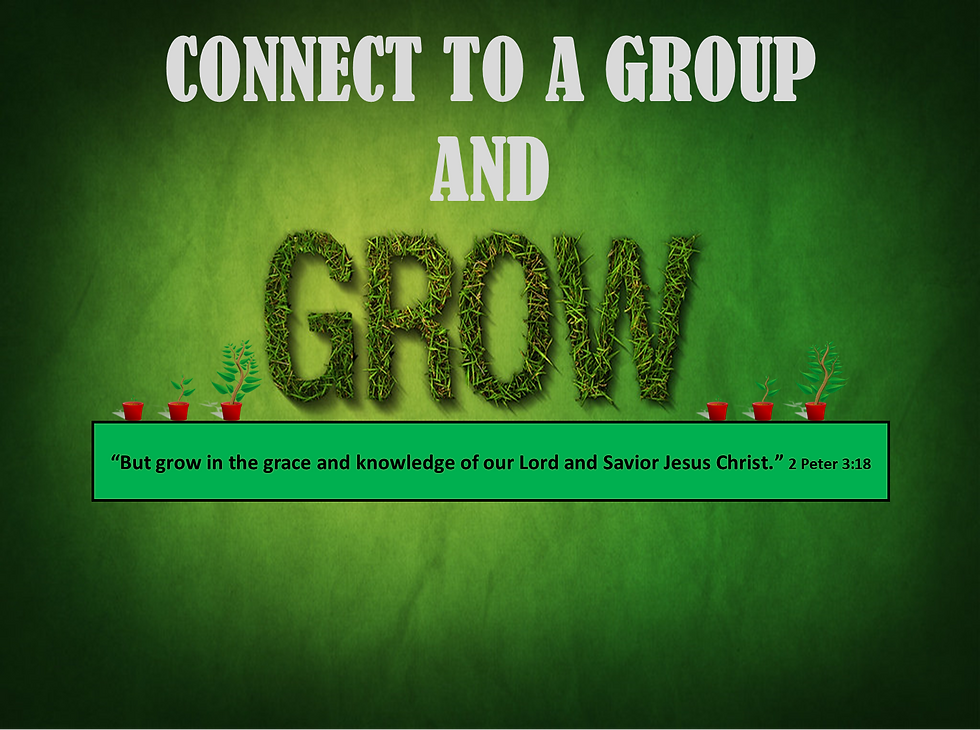 4. CONNECT TO A GROWGROUP