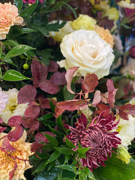 IMG_7958.jpeg