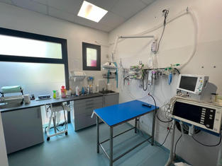 clinica veterinaria Altinia (7).jpeg