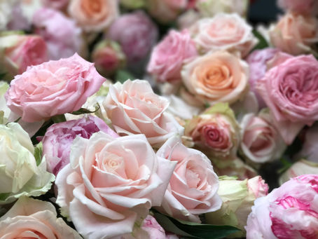 La Rosa: Un Simbolo Eterno
