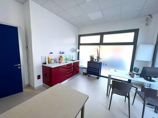 clinica veterinaria Altinia (6).jpeg