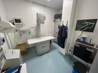clinica veterinaria Altinia (1).jpeg