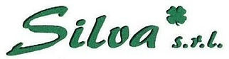logo silva srl
