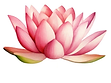 Silk Skin Beauty Center