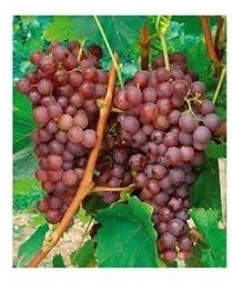 img.NDAzMTU2MjA0-1920w (1)