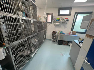 clinica veterinaria Altinia (9).jpeg