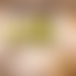 Tapparelle e ventilazione: come migliorare il ricambio d’aria in primavera