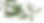 Illustrazione di rami con foglie verdi su sfondo nero.