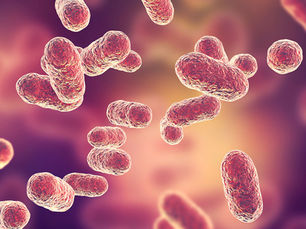 I cambiamenti ormonali nelle donne alterano il microbiota e la buona salute orale