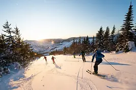 Sciatori su una pista innevata al tramonto tra gli alberi