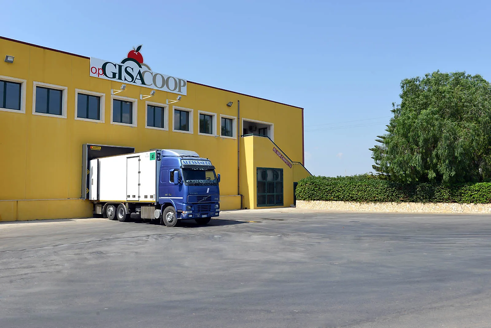 Piattaforma carico merci Gisacoop Vittoria