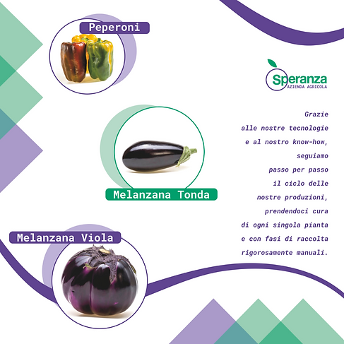 Azienda agricola Speranza