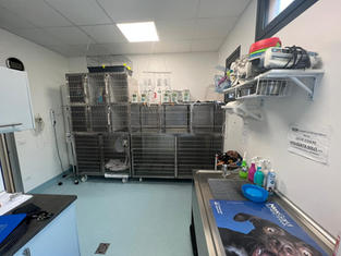 clinica veterinaria Altinia (10).jpeg