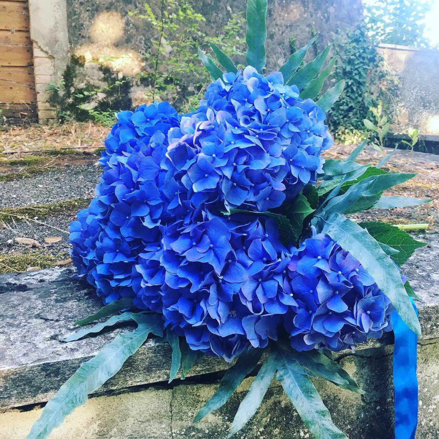 Fiori freschi Carpaneto Piacentino