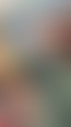 PROGETTO MILLE VOLTI DELLA BELLEZZA