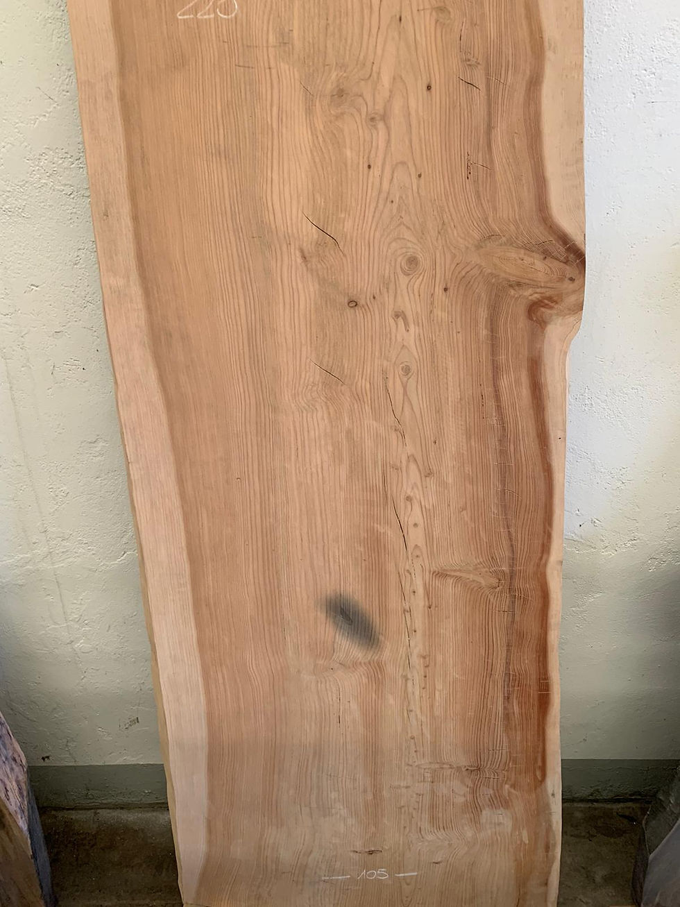 CEDAR