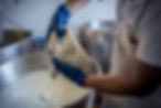 91. trecce di mozzarella.JPG