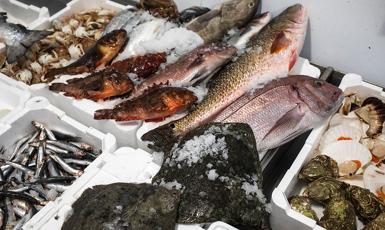 Pescheria Il Delfino