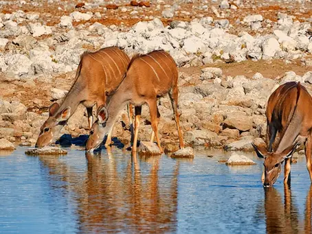 NAMIBIA