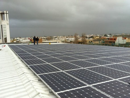 n 21 plants Lecce - Asantia GmbH.jpg