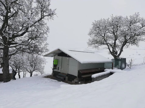 Pollaio professionale a slitte spostabile
