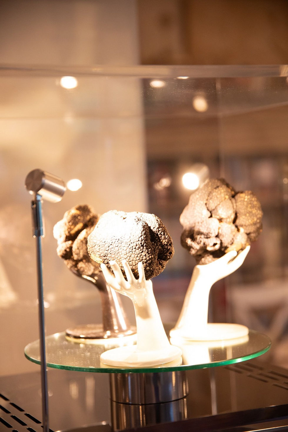 15 Sommelier del Tartufo - The Lord of Truffle.jpg