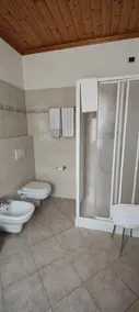 Bagno moderno con doccia, bidet e soffitto in legno.