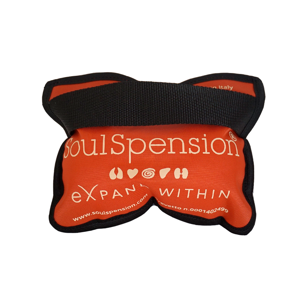 Thumbnail: Soulspension Extension