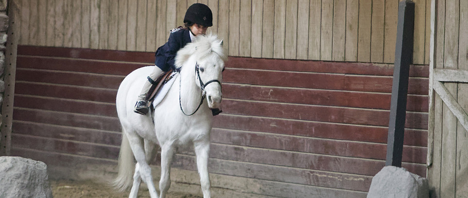 3-10-24 Greystone_523_DxO (1).jpg