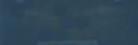 design back.jpg
