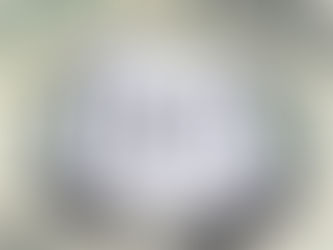 IRS Installment Agreement