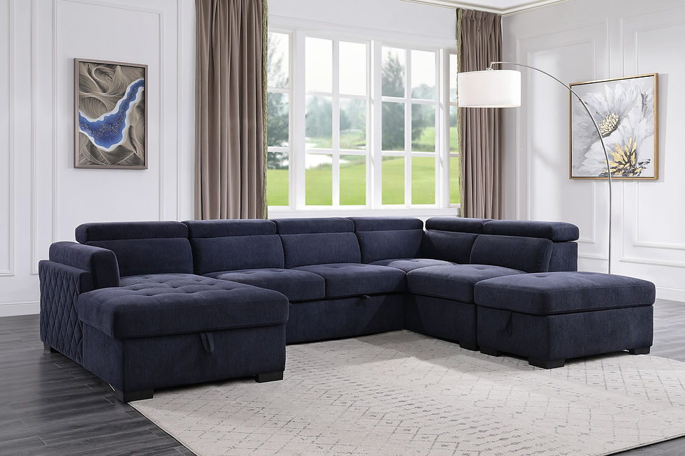 Sleeper Sectional Sofa w/Storage and Ottoman