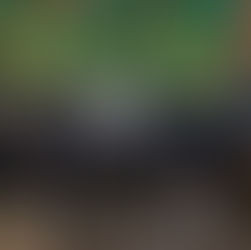 O que é o Pagode Gospel?