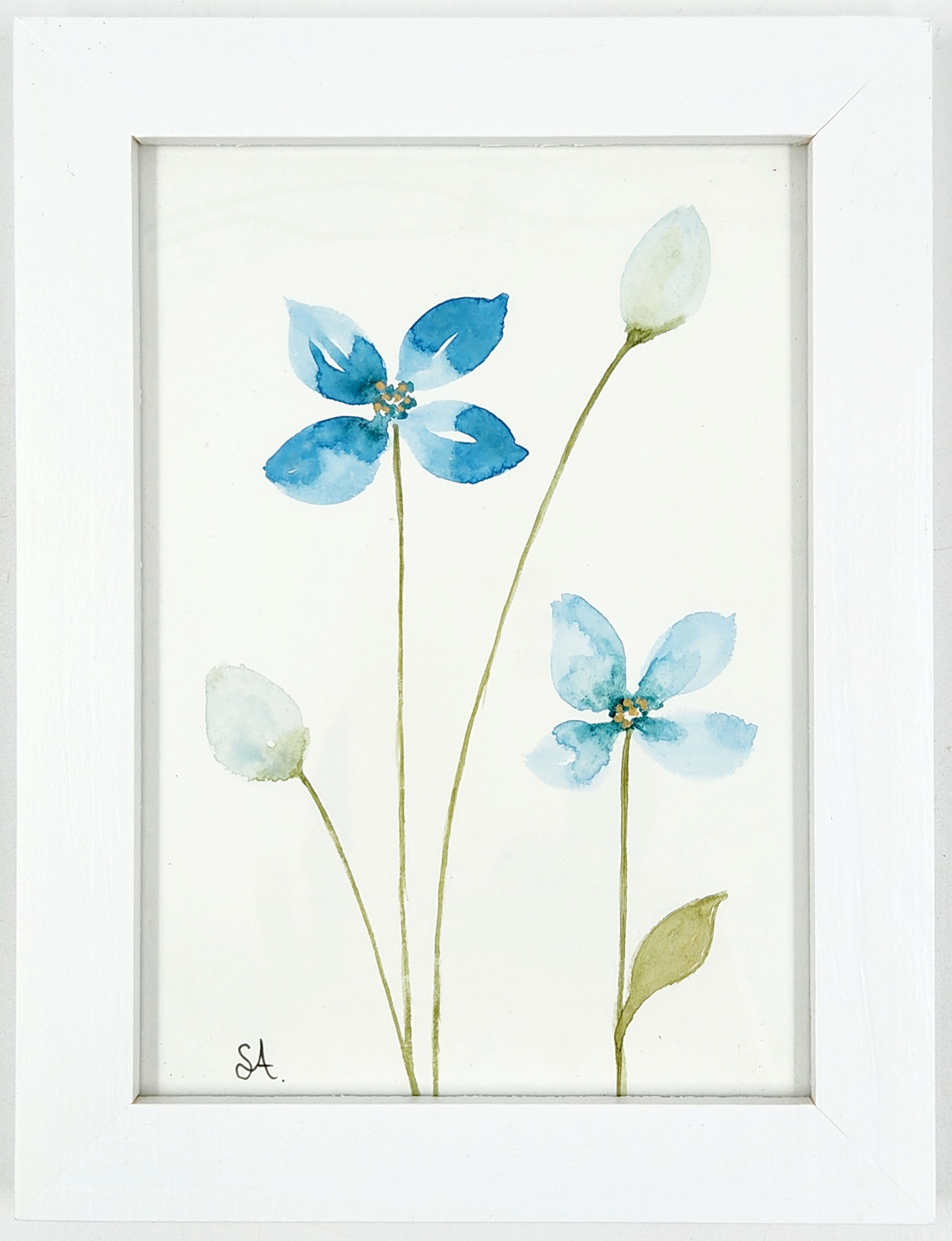 פרחים מגינתי 48 - תמונה ראשית