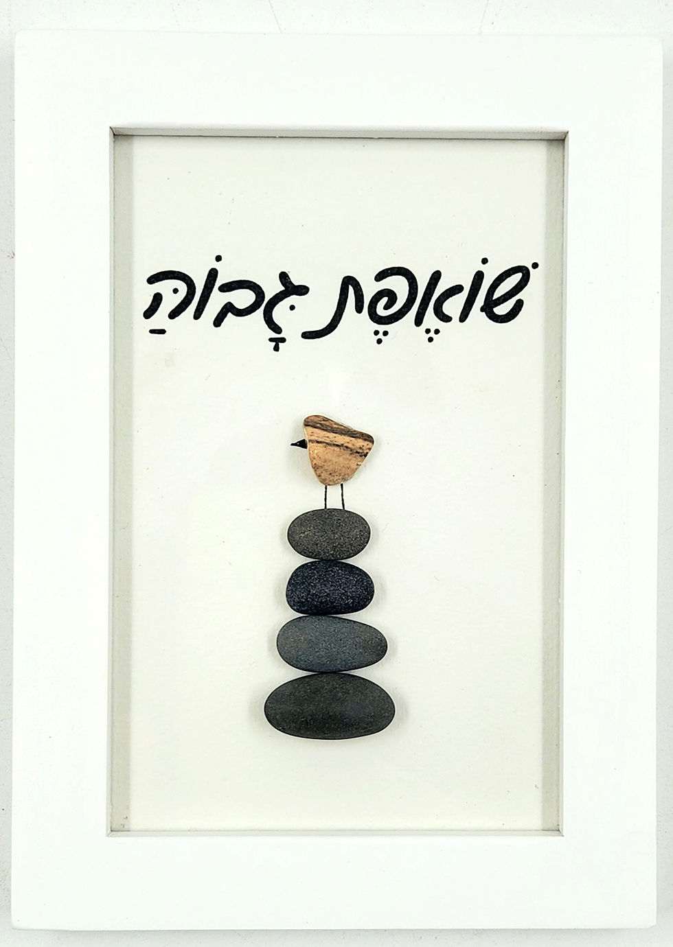 שואפת גבוה - תמונה ראשית