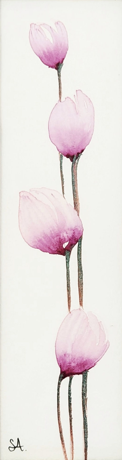 תמונה ממוזערת: פרחים מגינתי 90 - צילום מקרוב