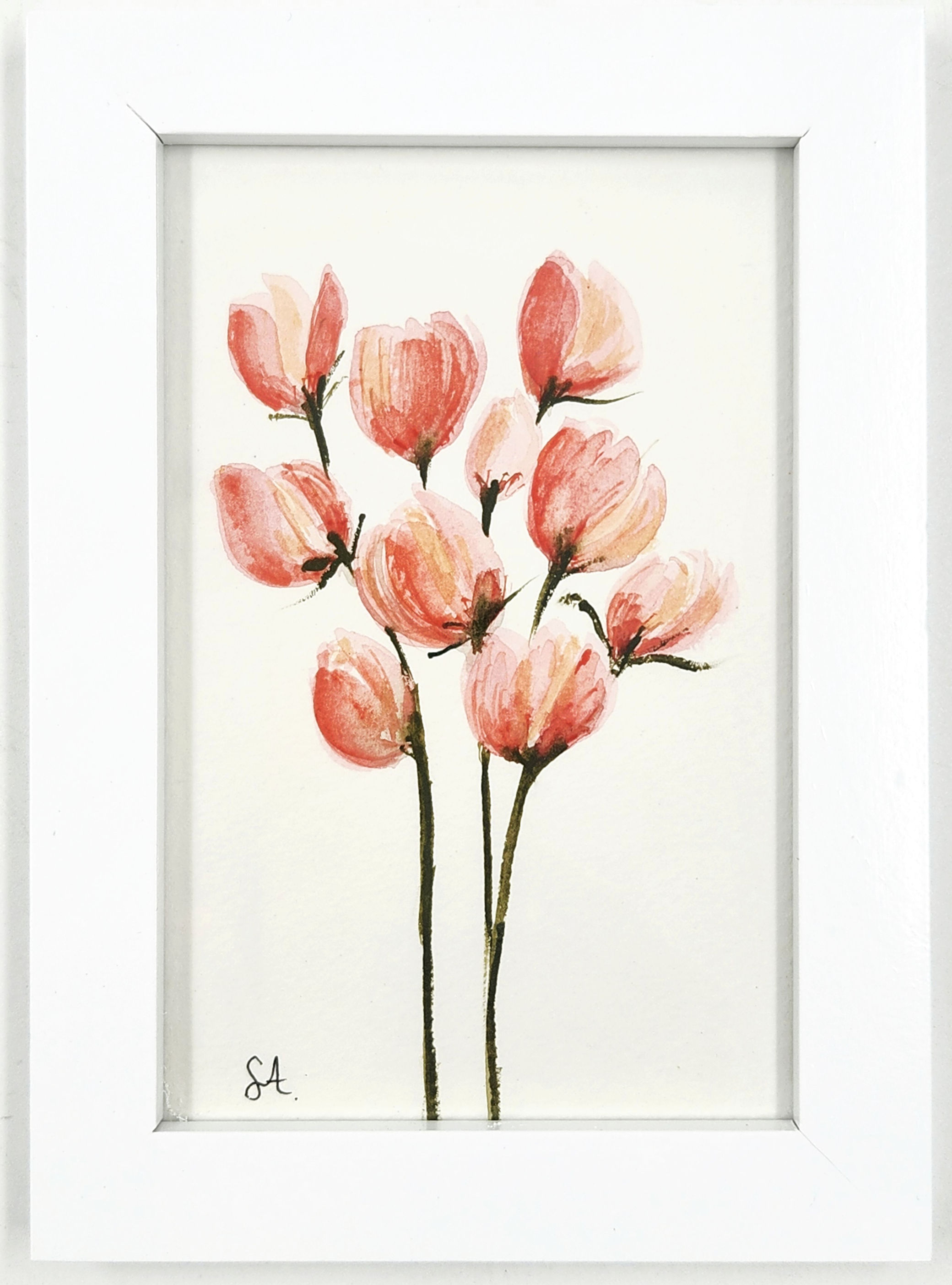 פרחים מגינתי 84