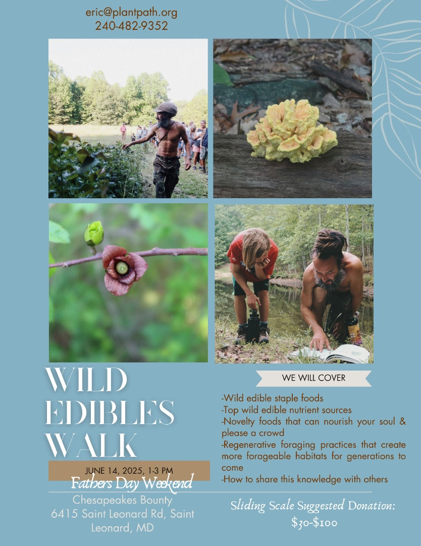Wild Edible Plant Walk