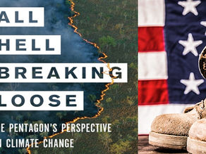 Are Climate and Disaster Victims Violent?