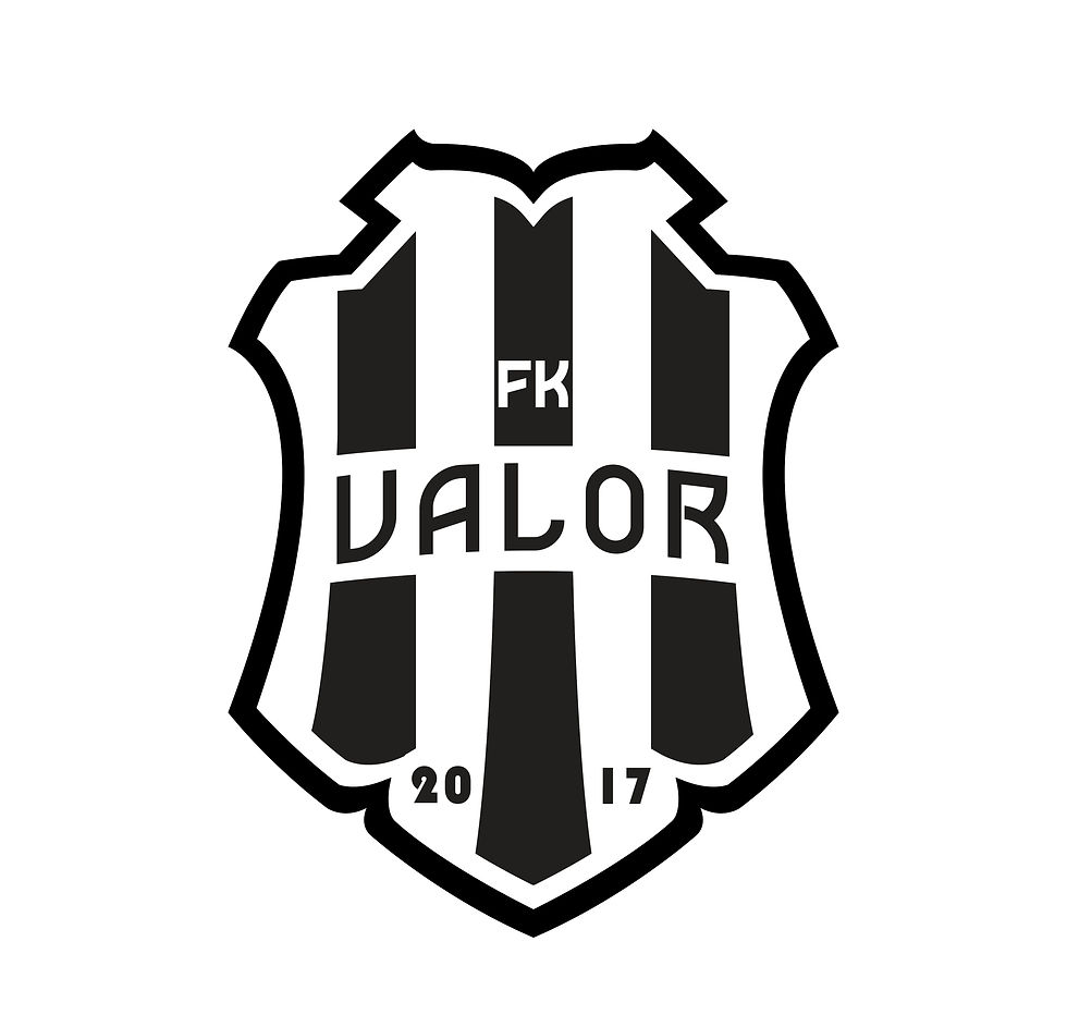 5e509a2b2c16e83033066be3_FK-Valor-Logo-varianti (3)_page-0002.jpg